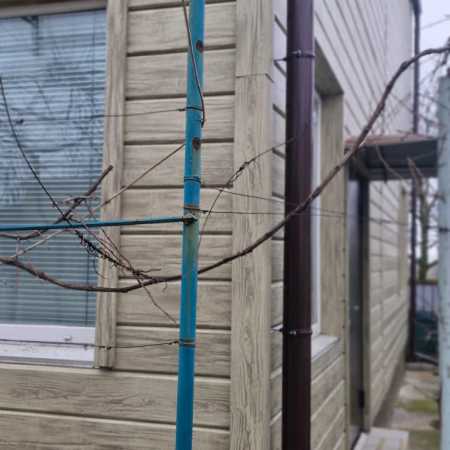 Зображення-WhatsApp-дата_-2025-01-27-о-21.23.30_aed85abb