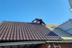 Николаев. Сады3