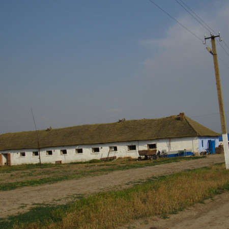 Фермерское хозяйство. Одесская обл., Тарутинский район.