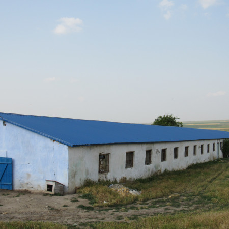 Фермерское хоз-во.