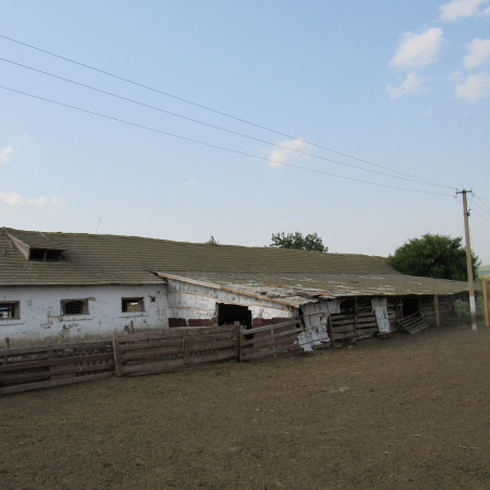 Фермерское хозяйство. Одесская обл., Тарутинский район