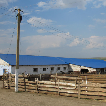 Фермерское хозяйство