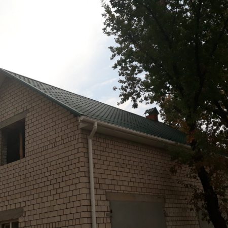 nikolaev-cherepitsa-diamant