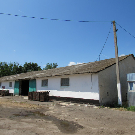 Одесская обл., Овидиопольский р-н. Фермерское хозяйство. Крыша из профнастила ПК-45, Цинк 0,45