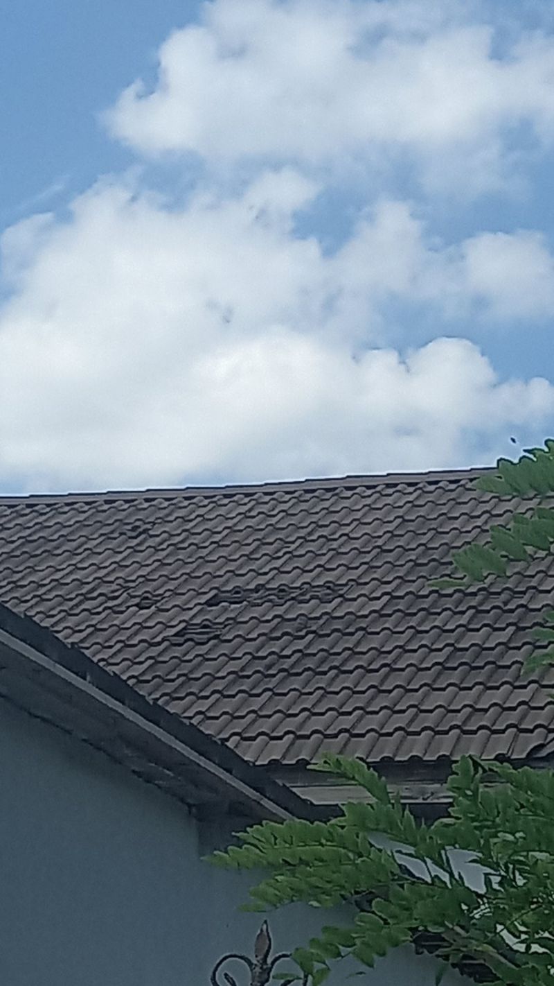 Черепиця на даху з дірками